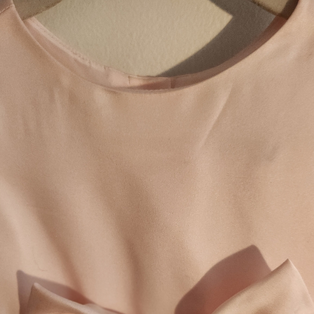 EUC Rare Editions Pink Lace Formal Dress Girls Size 18 months - Picture 4 of 7